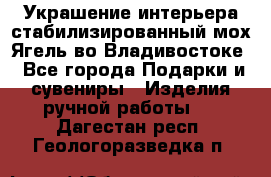 Украшение интерьера стабилизированный мох Ягель во Владивостоке - Все города Подарки и сувениры » Изделия ручной работы   . Дагестан респ.,Геологоразведка п.